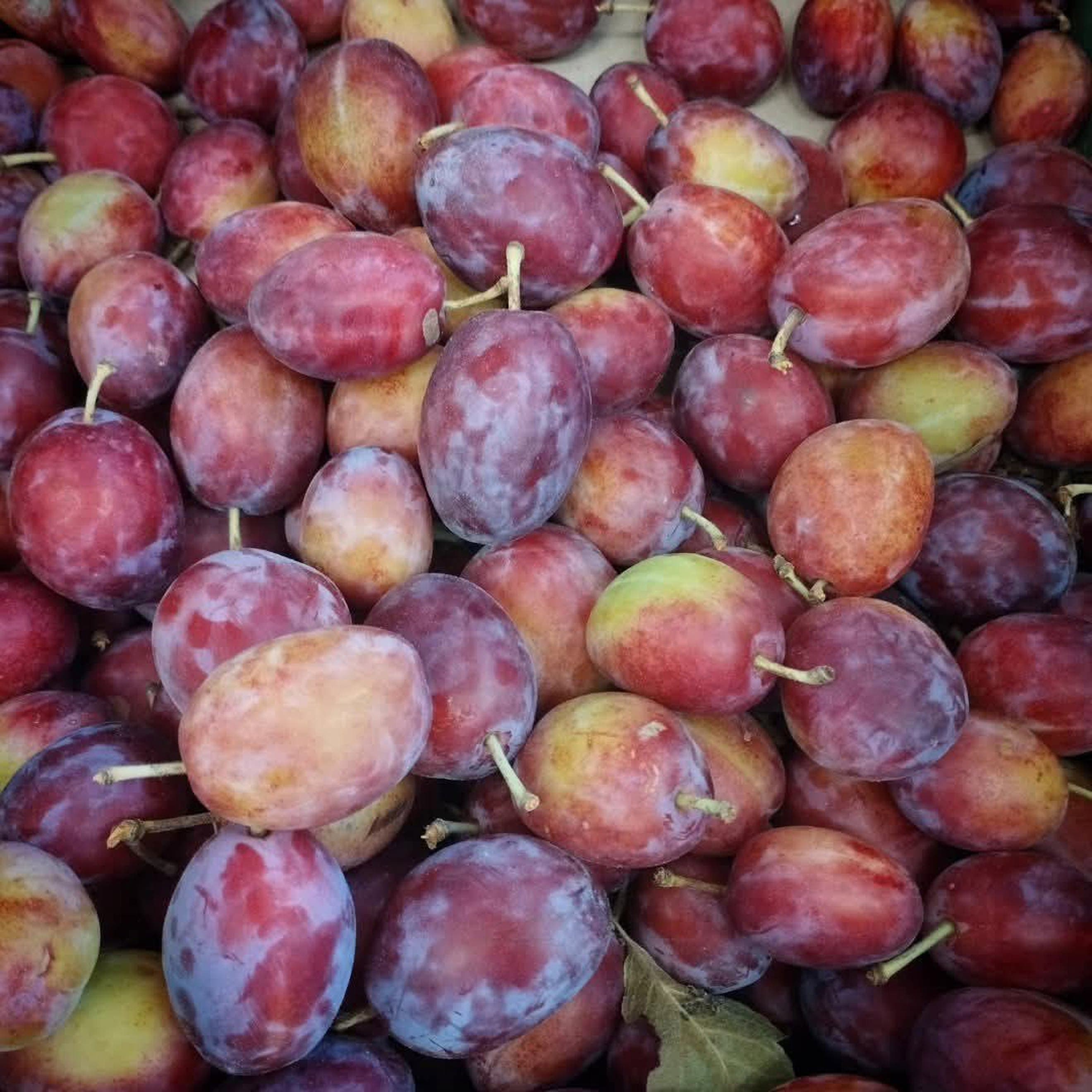 Plums: Victoria